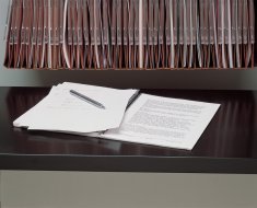 Wysuwana półka BIC08DRSPS